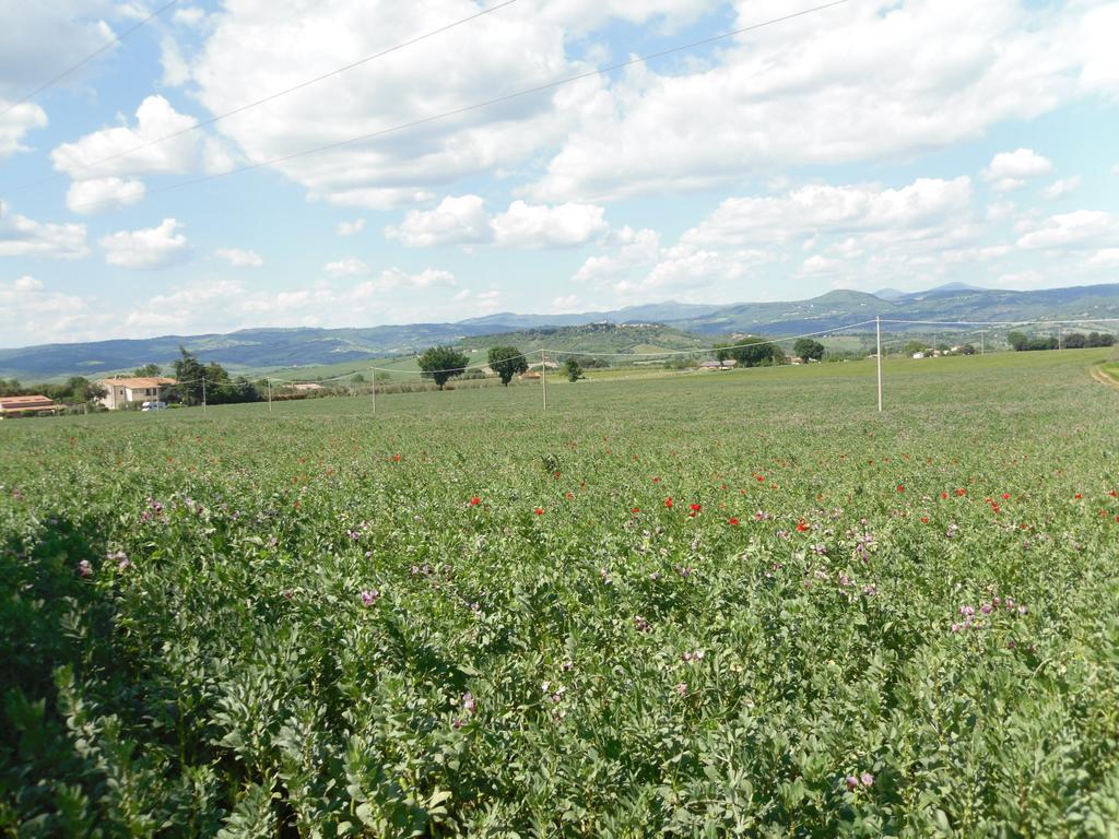 Agriturismo Il Giardino Saturnia Buitenkant foto