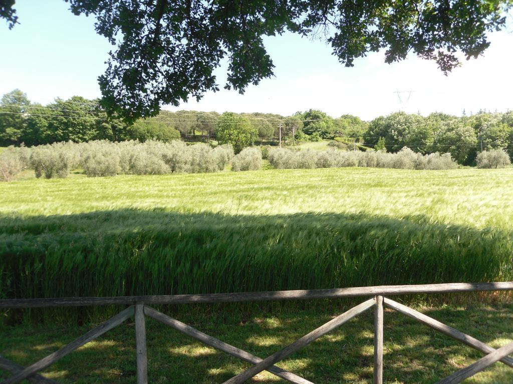 Agriturismo Il Giardino Saturnia Buitenkant foto