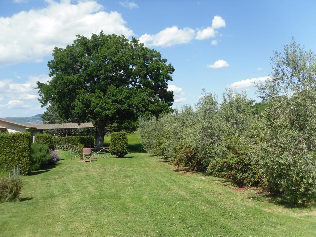 Agriturismo Il Giardino Saturnia Buitenkant foto